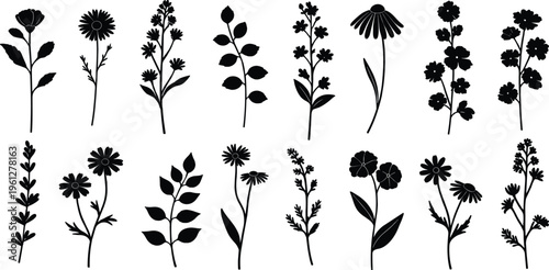 A high-resolution stock photo featuring a diverse group of creative professionals collaborating on a digital project in a bright modern workspace