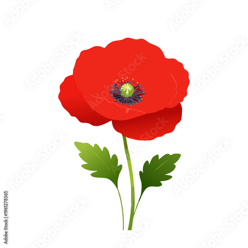 Natural Forest Floor Texture With Leaves