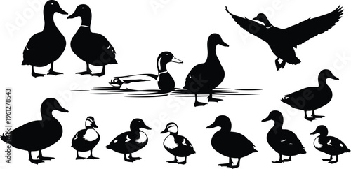 A high-resolution stock photo featuring a diverse group of creative professionals collaborating on a digital project in a bright modern workspace