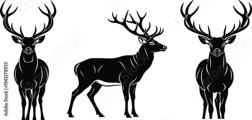 A high-resolution stock photo featuring a diverse group of creative professionals collaborating on a digital project in a bright modern workspace