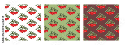 Rowan seamless pattern. Seamless hand-drawn vector background.