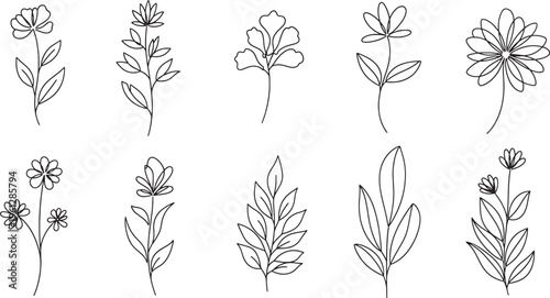 Black and white line of various flowers and leaves on white background line black and white plants botanical