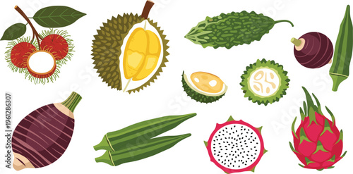 Vector Set of Exotic Fruits Including Durian, Rambutan, and Dragon Fruit