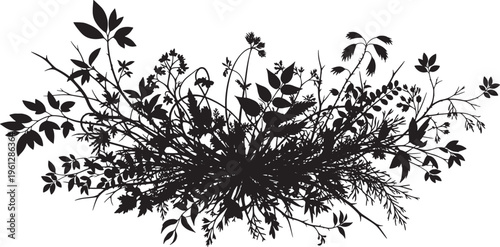Black silhouette of tangled branches and leaves on white background