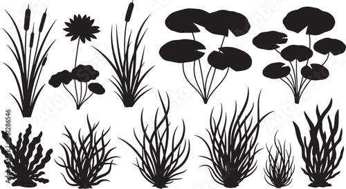 Black silhouettes of various aquatic plants and flowers white background