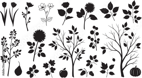Black silhouettes of various flowers leaves trees and fruits