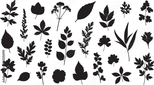 Black silhouettes of various leaves and flowers plants