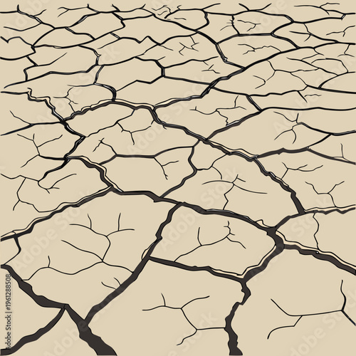 A close-up view of cracked earth