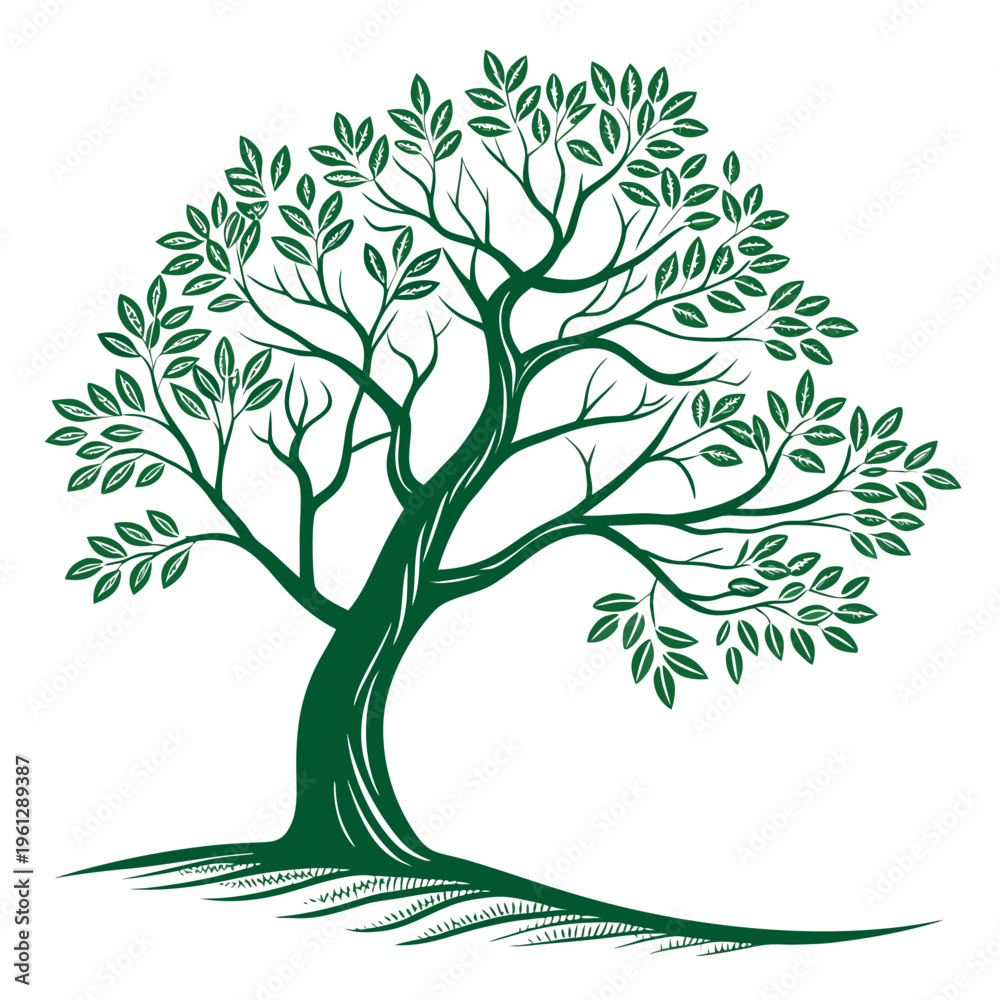 Obraz premium A green tree with many branches and leaves