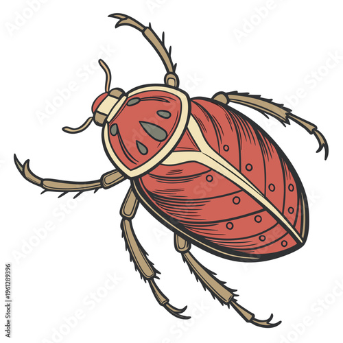 A red beetle with brown legs and antennae