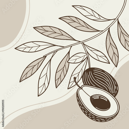 A drawing of a cut avocado with leaves