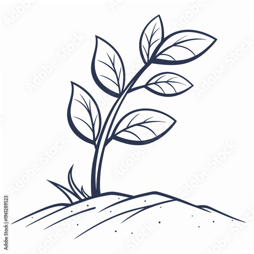 A small plant sprouting from the ground