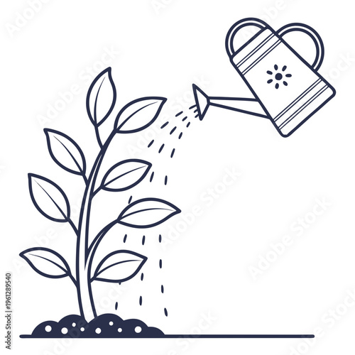 A plant being watered with a watering can