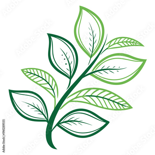 A green leafy branch with multiple leaves