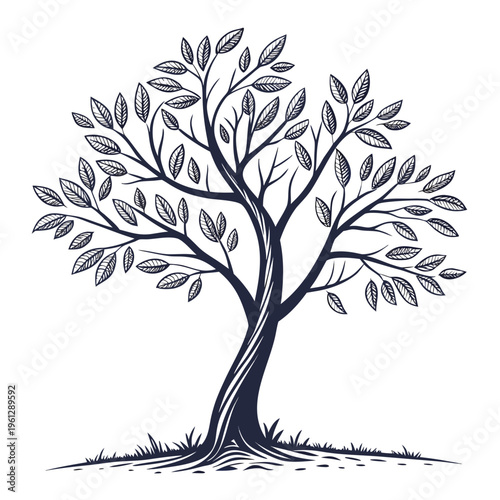 A tree with a twisted trunk and many leaves