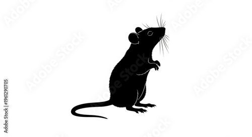 Black silhouette of a mouse standing on hind legs looking up isolated on white background simple illustration