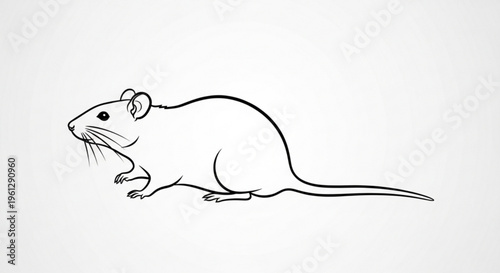 Detailed line drawing of a rat standing on its hind legs looking alert on white background with whiskers and ears perked up