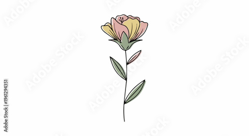 A beautiful single pink tulip blossom with a green leaf and stem is isolated on a white background, symbolizing nature, love, and floral beauty as a perfect romantic gift