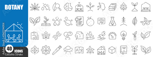 Botany and Nature Line Icons Mega Set , Plants, Ecology, Agriculture and Science Outline Vector Collection