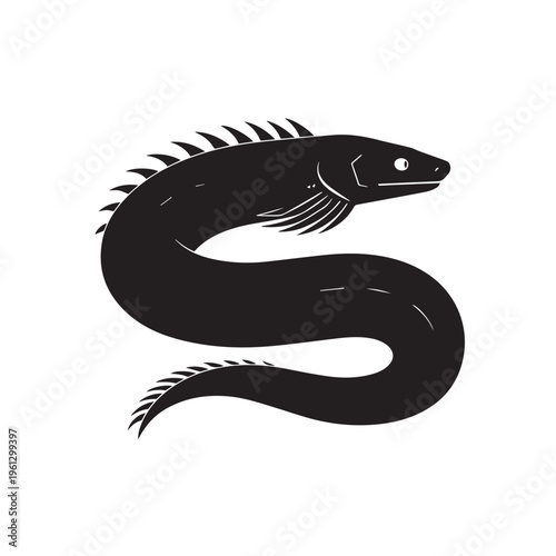 Bold Black And White Moray Eel Curled In S Shape