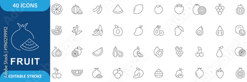 Fruit Icon Set. fruit, apple, banana, orange, grape, mango, pineapple, strawberry, watermelon, cherry, lemon. Editable stroke. Vector illustration.