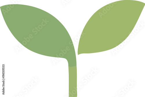 Light green sprout with two leaves isolated on transparent background. Simple flat illustration of a young plant. Nature concept