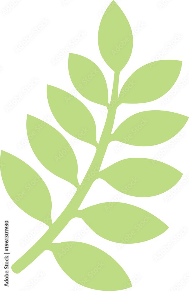 Obraz premium Light green fern leaf illustration. Botanical graphic on transparent background