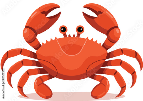 Orange crab with large claws and eyes, facing forward