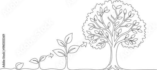One line drawing of a plant growing into a mature tree