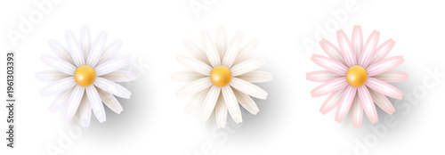 Three flowers on a white background. Spring and summer flowers. Design elements. Vector EPS 10.