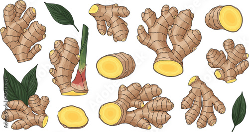 Large Collection of Stylized Vegetable Plant Vector Icons Featuring Carrots Radishes Beets Potted Herbs and Seedlings for Gardening and Organic Farming Design