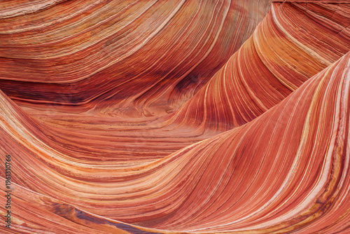 Close-up of the swirling sandstone patterns at The Wave. Beautiful natural orange and red lines created by erosion in the Arizona desert.