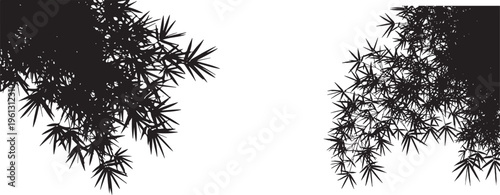 Black bamboo leaves silhouette on white background