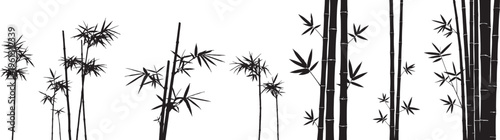 Black bamboo stalks and leaves silhouette on white background
