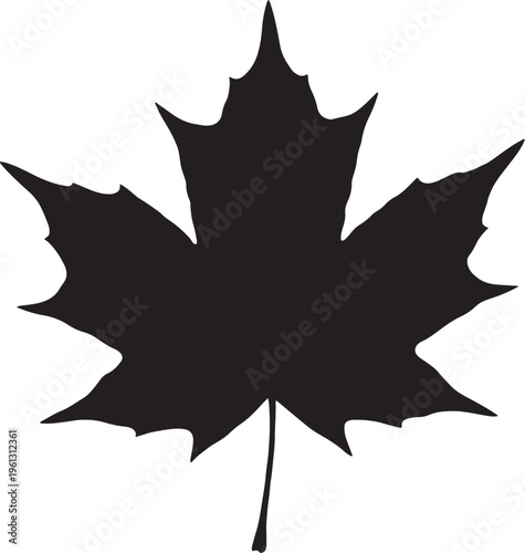 Black silhouette of a maple leaf on white background