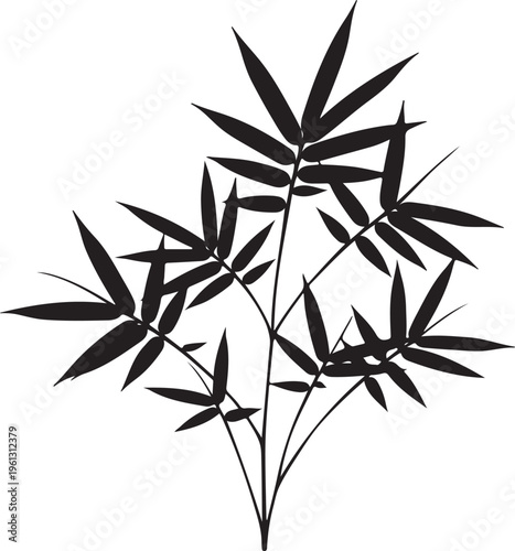 Black silhouette of bamboo branches with leaves plant
