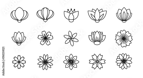 Set of Elegant Minimalist Outline Flower and Floral Icons on Isolated White Background