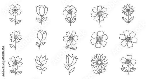 Simple Outline Flower Icons Collection on Isolated White Background