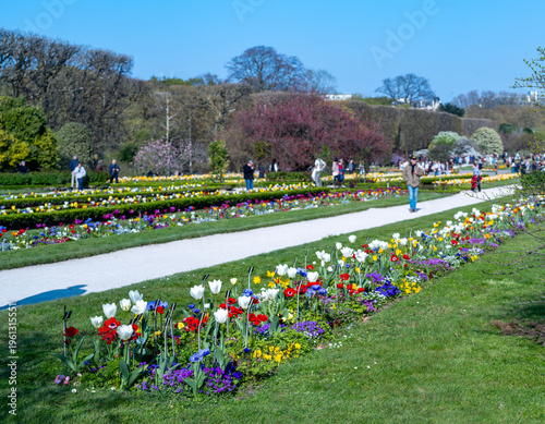 Εκτύπωση καμβά un parterre de fleurs au printemps dans le jardin des plantes à Paris en France