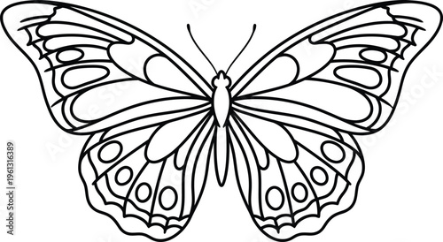 Line art turtle drawing simple sea turtle illustration in black lines