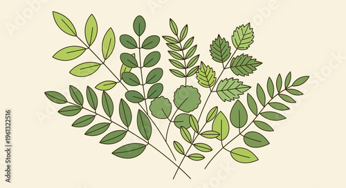 A collection of various green leaves on branches.
