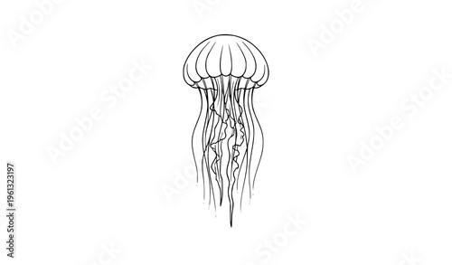 Modern minimal jellyfish line art vector with thin outline marine illustration isolated on white