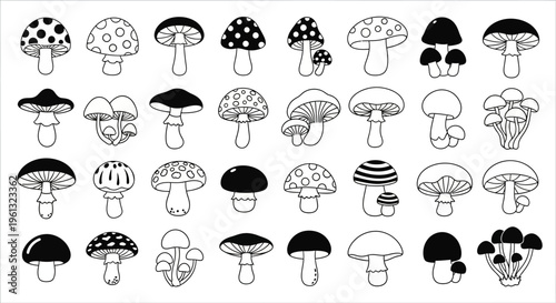 Set of monochrome toadstool drawings suitable for packaging.