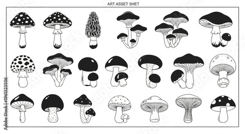 Collection of stylized black and white mushroom illustrations arranged.