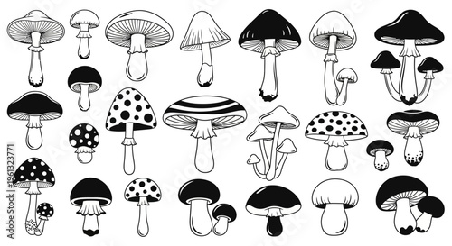 Collection of detailed black and white mushroom icons showing various.