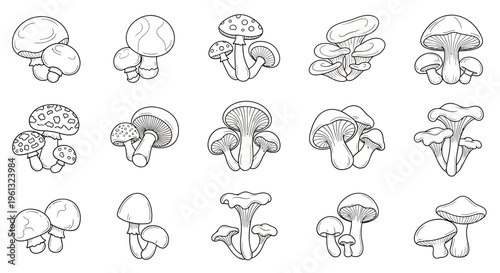 Set of ten distinct mushroom icons rendered in a detailed black.