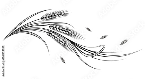 Black and white illustration of wheat.