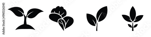 Four distinct plant silhouettes with varying leaf shapes and sizes