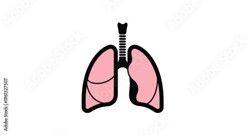 Anatomical illustration of human lungs depicted in a dark silhouette
