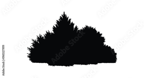 Dark coniferous trees against a bright background a striking silhouette